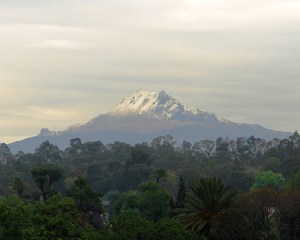 371467456_0c5c7798df